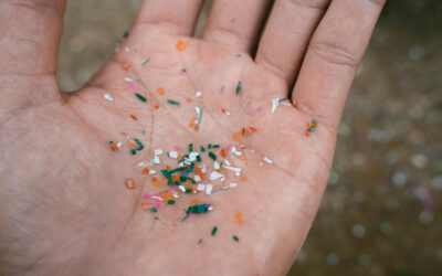 Allarme microplastiche nella Great Pacific Garbage Patch