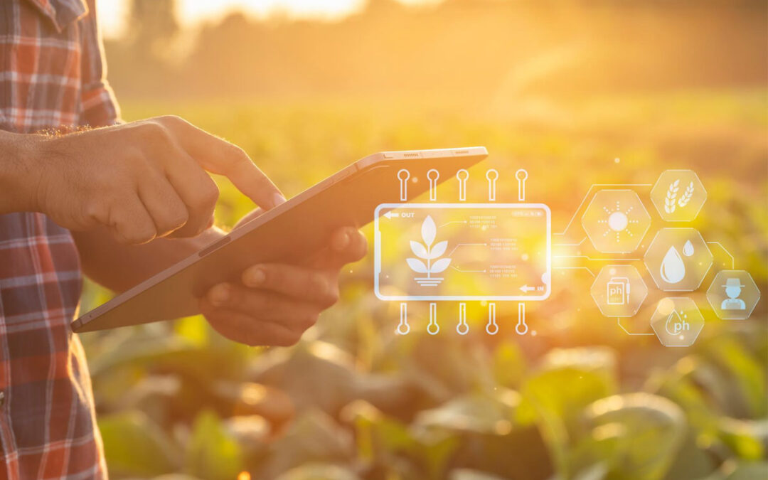 Economia circolare e agrifood: i punti di riferimento