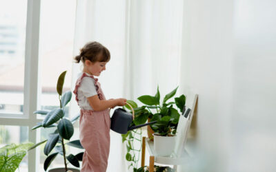 Come migliorare la qualità dell’aria in casa